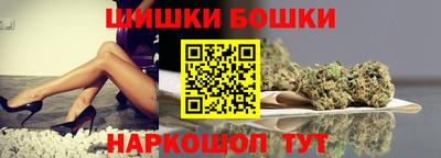 бошки Кингисепп