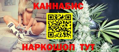 бошки Кингисепп