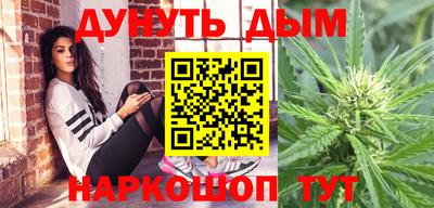 бошки Кингисепп