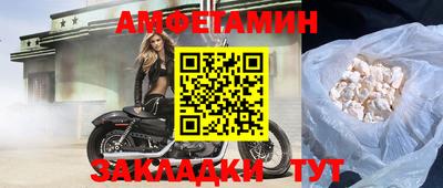 бошки Кингисепп