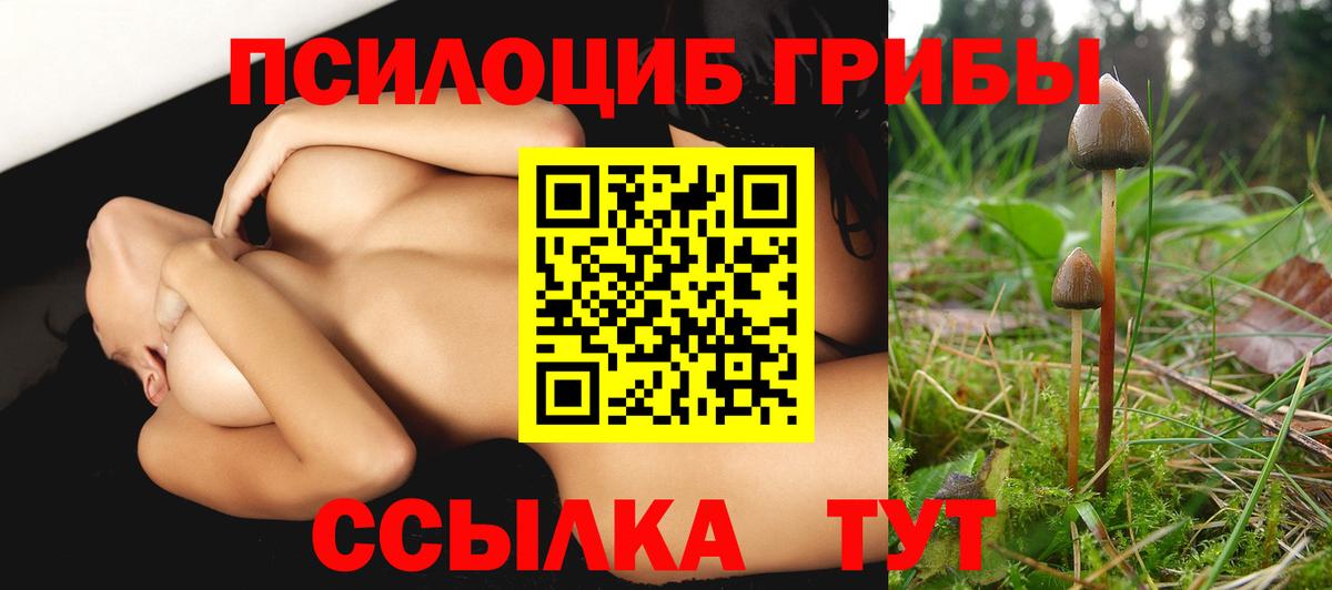 Псилоцибиновые грибы Psilocybine cubensis Кувандык